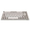 AKKO 9009 RETRO 3084 MECHANICAL KEYBOARD (CHERRY MX RED) - DataBlitz