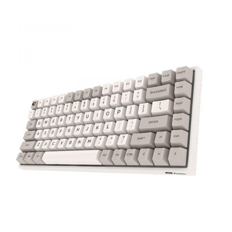 AKKO 9009 RETRO 3084 MECHANICAL KEYBOARD (CHERRY MX BLUE)