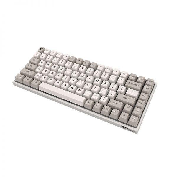 AKKO 9009 RETRO 3084 MECHANICAL KEYBOARD (CHERRY MX RED) - DataBlitz