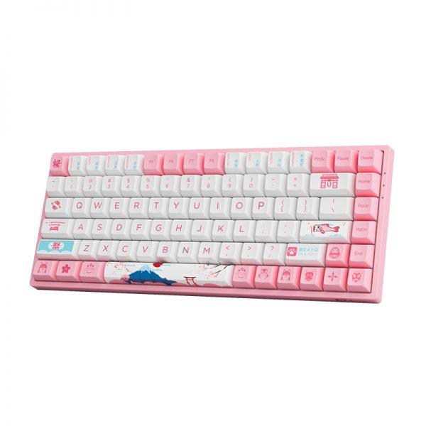 AKKO World Tour Tokyo R2 3084B Plus Hot-Swappable Multi-Mode RGB Mechanical Keyboard (AKKO CS Jelly Pink) - DataBlitz