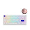 AKKO PC75B Plus Blue On White RGB Mechanical Keyboard (Akko CS Jelly Pink) - DataBlitz