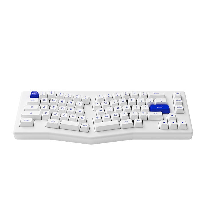 Akko ACR Pro Alice Plus Spray Painted Acrylic (Akko Cs Crystal)