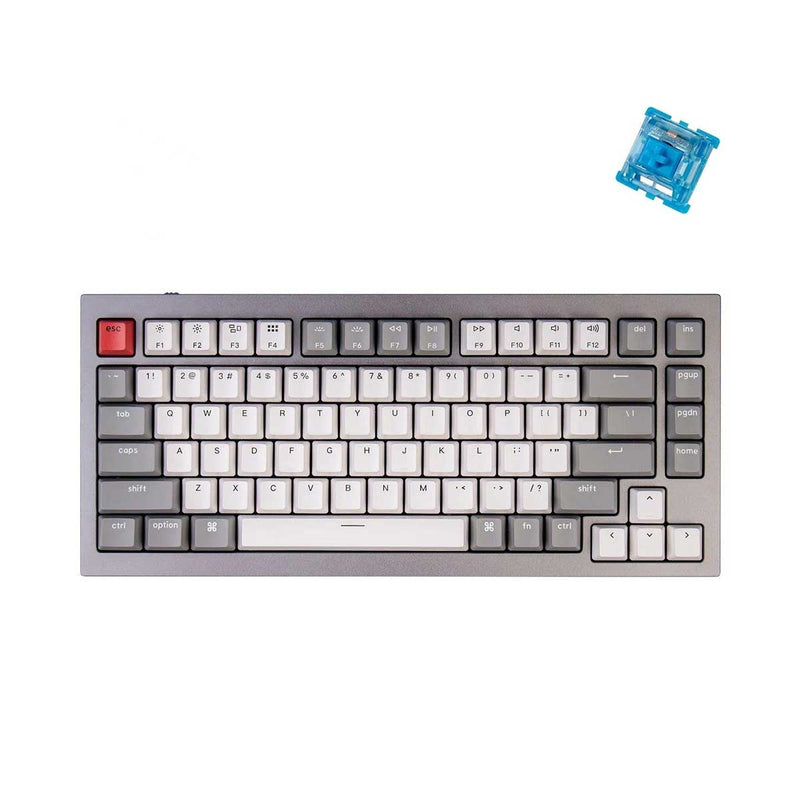 Keychron Q1 QMK Custom Mechanical Silver Grey Keyboard (Gateron Phantom Blue Switch) (Q1D2)