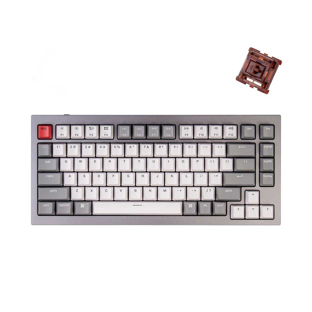 Keychron Q1 QMK Custom Mechanical Silver Grey Keyboard (Gateron Phantom Brown Switch) (Q1D3)