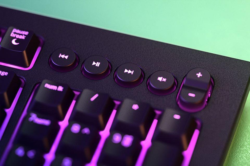 RAZER CYNOSA V2 TRUE CHROMA RGB GAMING KEYBOARD - DataBlitz