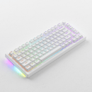 Akko 5075S Shine-Through RGB Hot-Swappable Mechanical Keyboard White (Akko Cs Wine Red) - DataBlitz