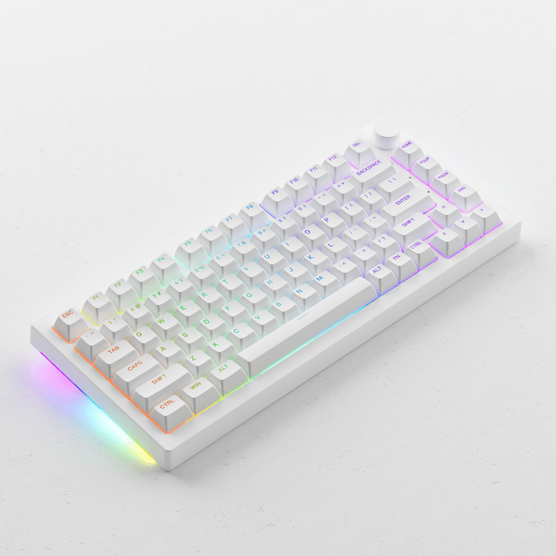 Akko 5075S Shine-Through RGB Hot-Swappable Mechanical Keyboard White (Akko Cs Wine Red) - DataBlitz