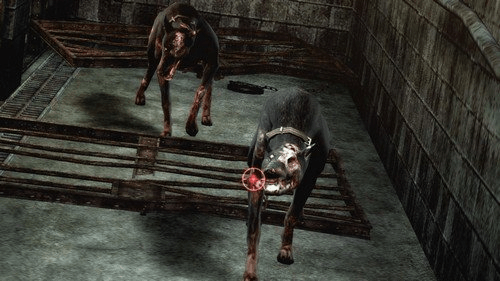 WII-RESIDENT EVIL THE DARKSIDE CHRONICLES - DataBlitz