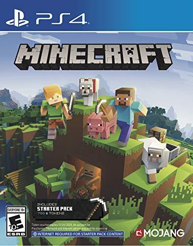 PS4 MINECRAFT (INCLUDES STARTER PACK) - DataBlitz