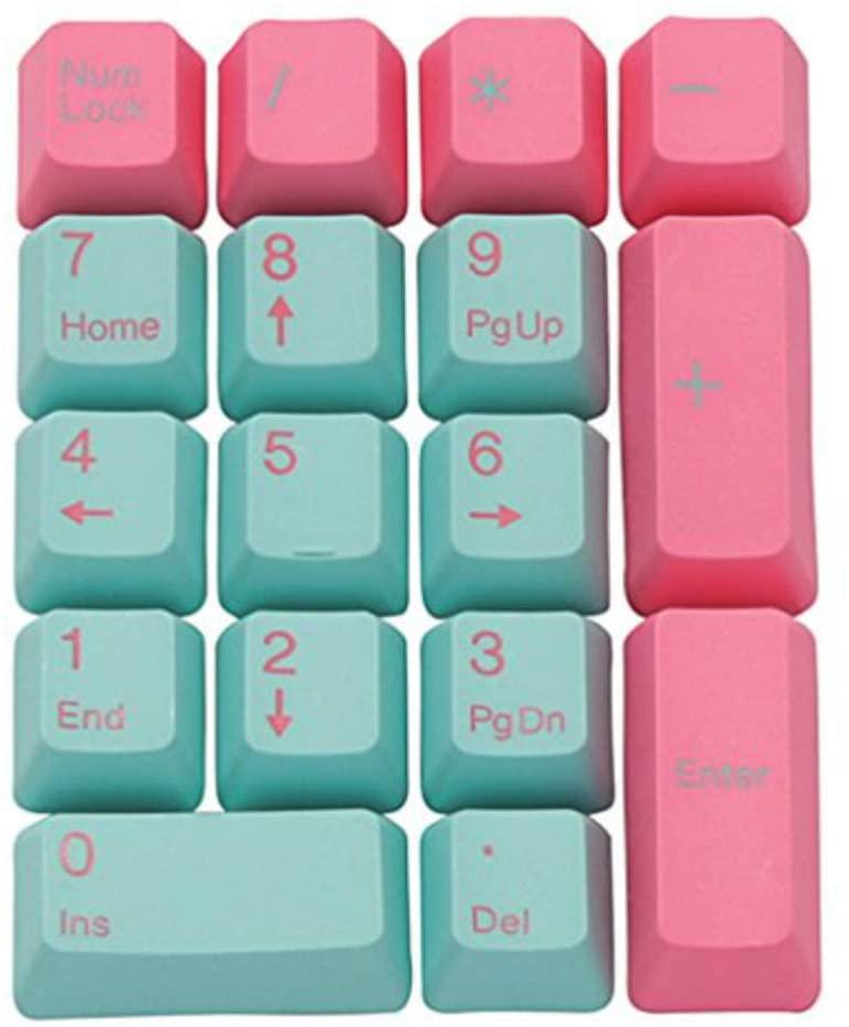 TAIHAO DOUBLE SHOT PBT KEYCAPS SET FOR CHERRY MX SWITCH (104-KEYS) (PINK&BRIGHT BLUE MIAMI) (C02BU201) - DataBlitz
