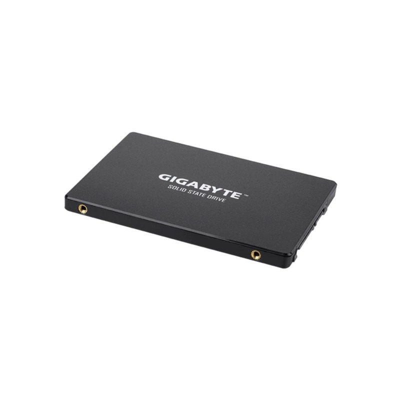 Gigabyte Solid State Drive (1TB) (GP-GSTFS31100TNTD) - DataBlitz