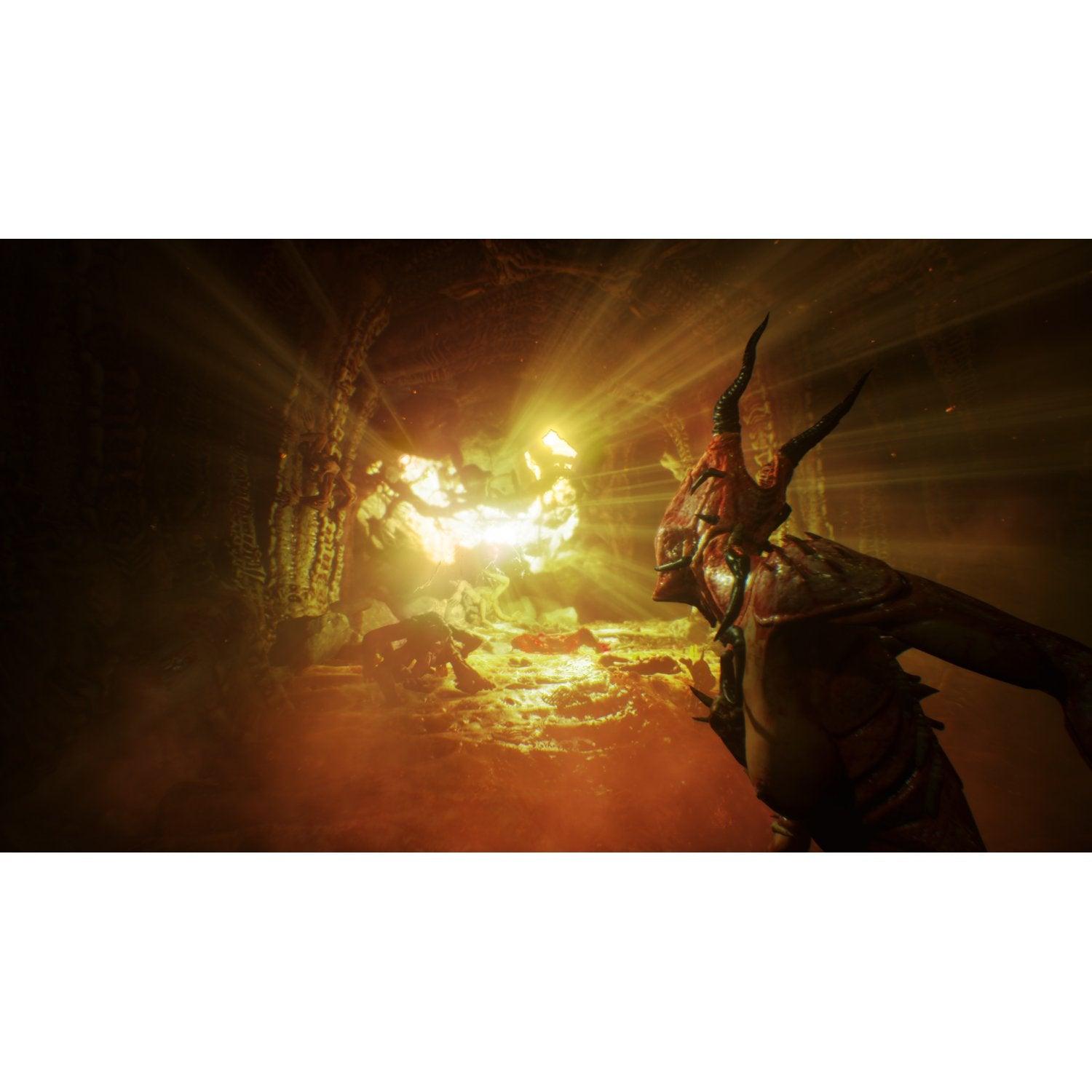 PS4 AGONY ALL (ENG/FR) - DataBlitz