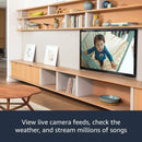 AMAZON FIRE TV STICK 4K WITH ALEXA VOICE REMOTE (3RD GEN) - DataBlitz