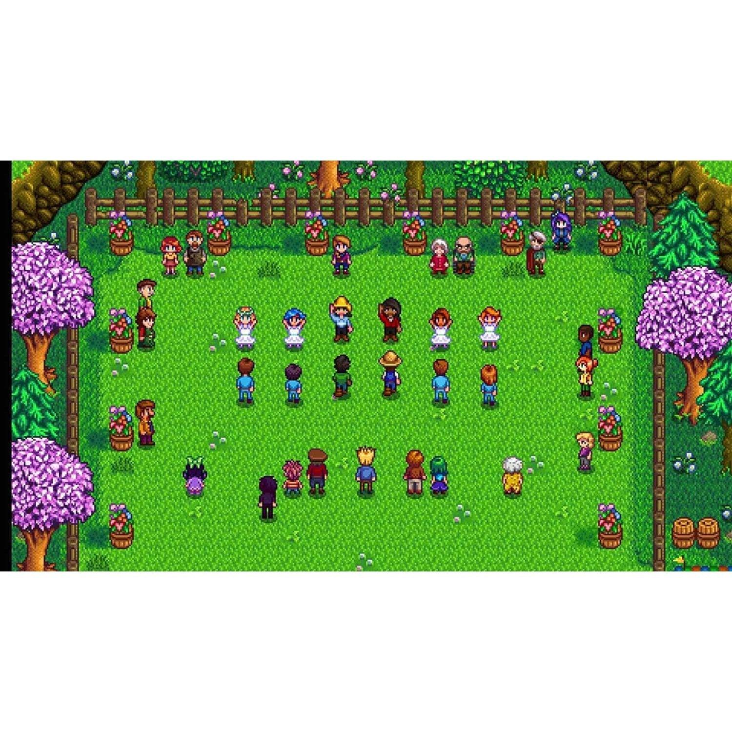 NINTENDO SWITCH STARDEW VALLEY
