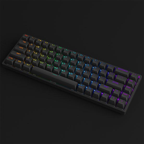 Akko 3068S Shine-Through RGB Hot-Swappable Mechanical Keyboard Black (Akko CS Jelly Purple) - DataBlitz