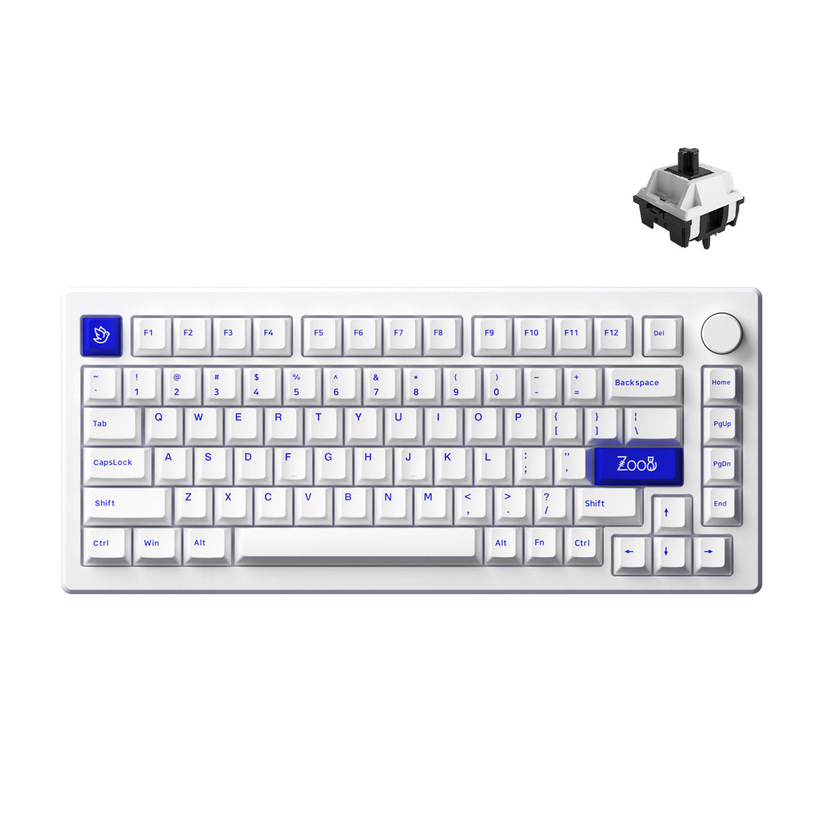 Akko MOD007 PC Hot-Swappable Mechanical Keyboard