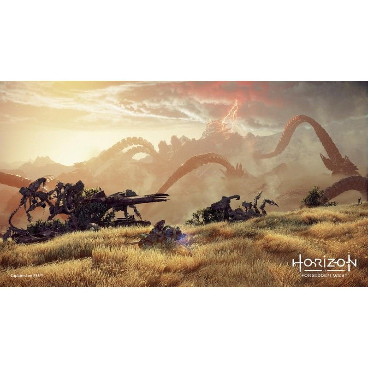 PS5 HORIZON FORBIDDEN WEST (ASIAN) - DataBlitz