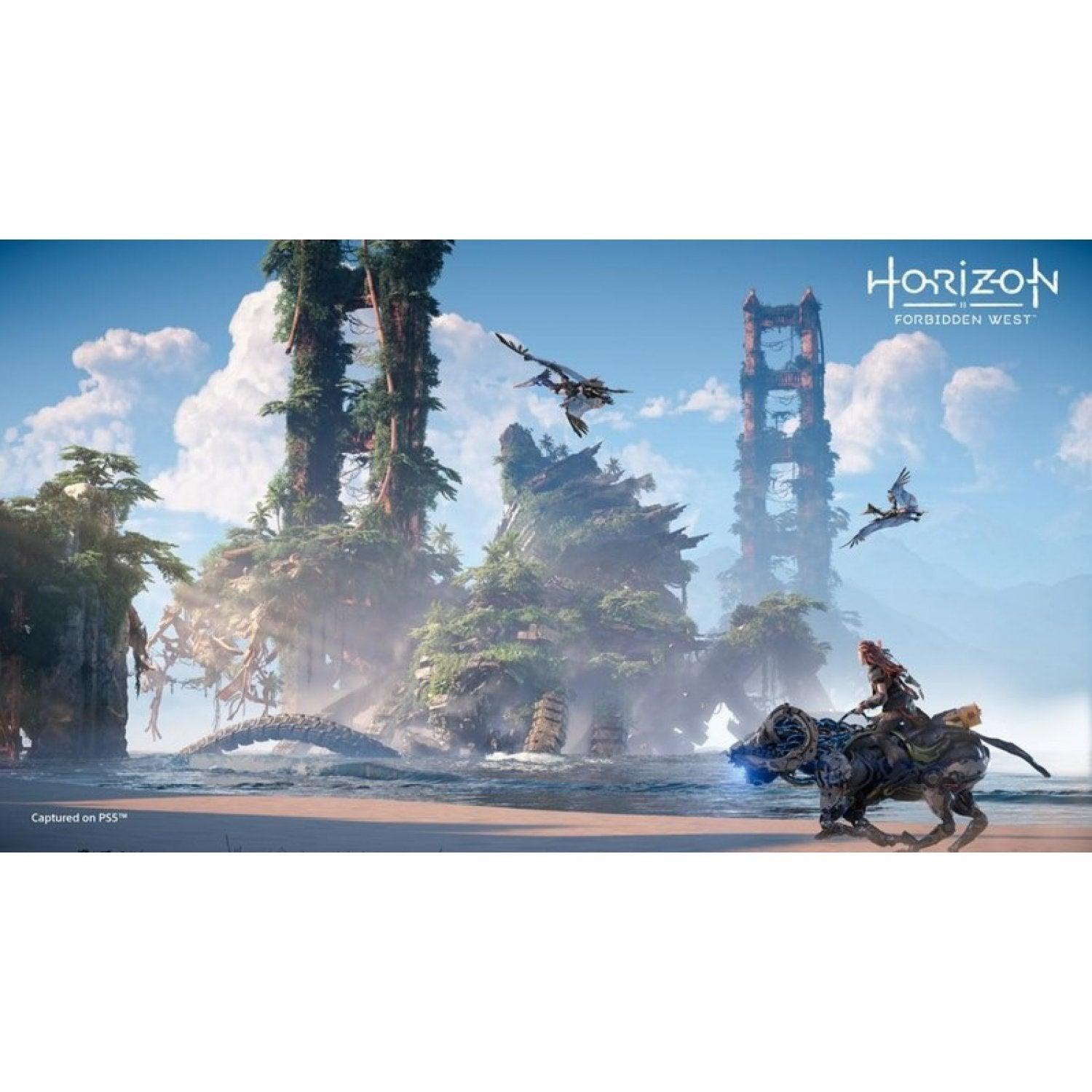 PS5 HORIZON FORBIDDEN WEST (ASIAN) - DataBlitz