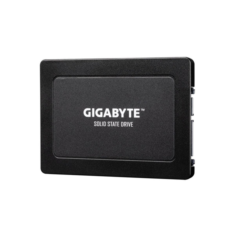 Gigabyte Solid State Drive (1TB) (GP-GSTFS31100TNTD) - DataBlitz