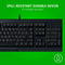 RAZER CYNOSA LITE ESSENTIAL GAMING KEYBOARD - DataBlitz