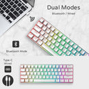 Royal Kludge RK61 Pro Tri-Mode RGB 61 Keys Hot Swappable Mechanical Keyboard Silver/White (Gateron Red Switch) - DataBlitz