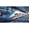 PS5 Train Life A Railway Simulator (ENG/EU) - DataBlitz