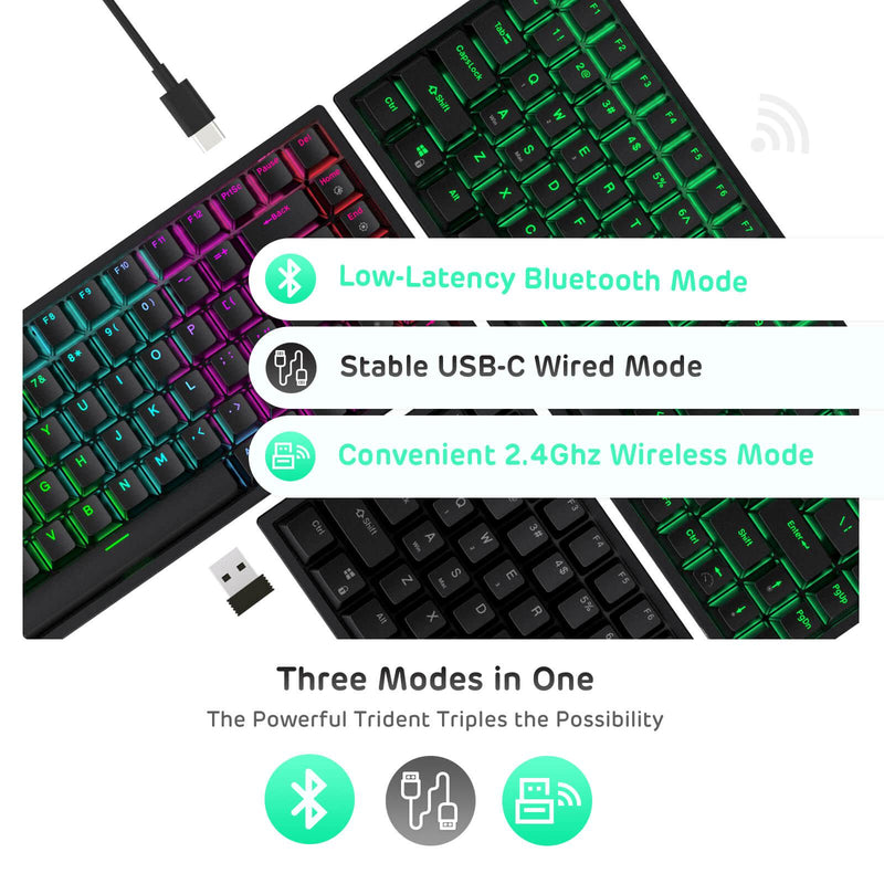 ROYAL KLUDGE RK84 TRI-MODE RGB 84 KEYS HOT SWAPPABLE MECHANICAL KEYBOARD BLACK (BROWN SWITCH) - DataBlitz
