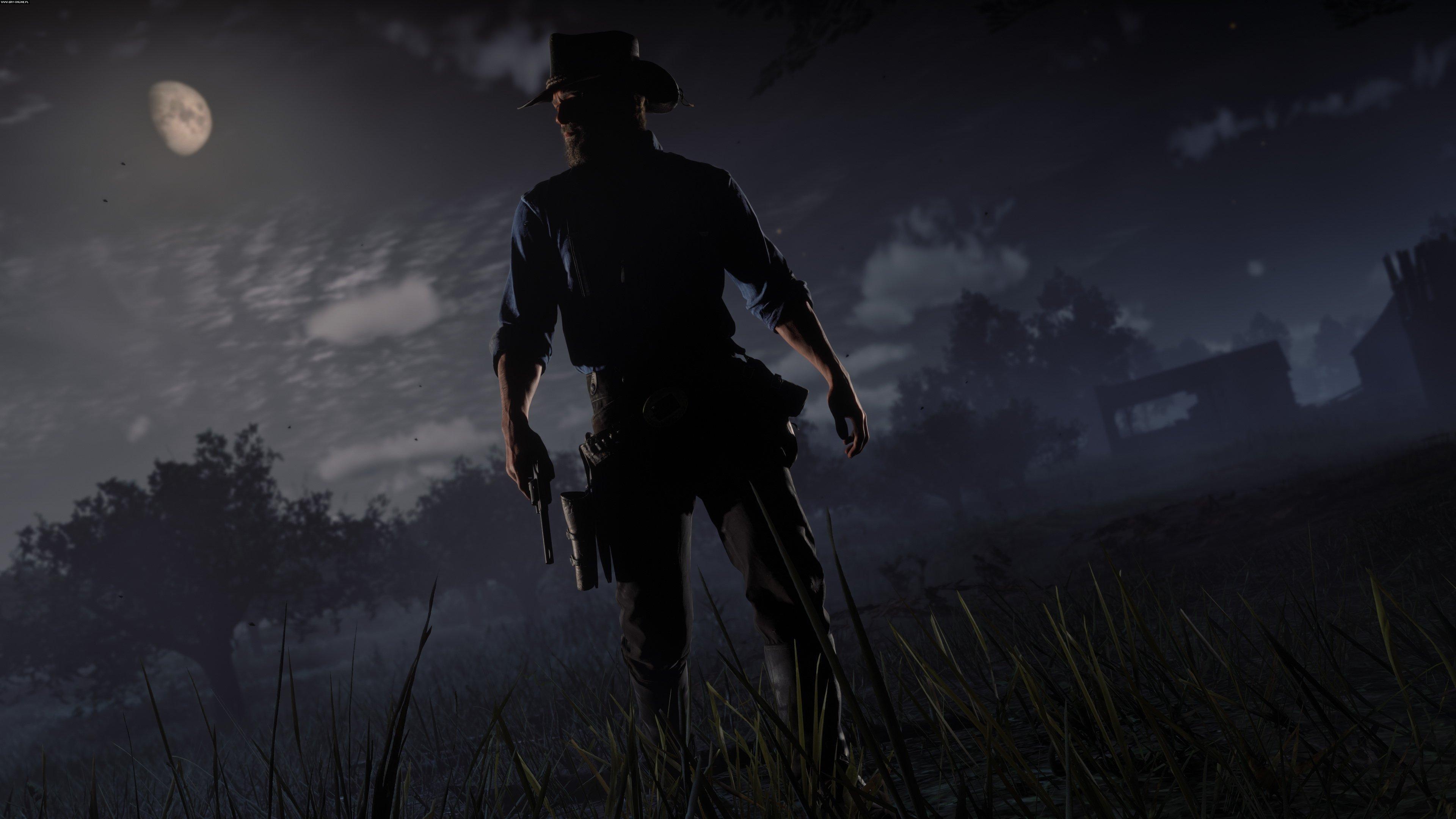 PS4 Red Dead Redemption 2 All - DataBlitz