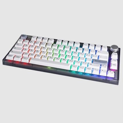 Tecware Veil 80 75% Mechanical Keyboard (Gateron Brown Switch) - DataBlitz