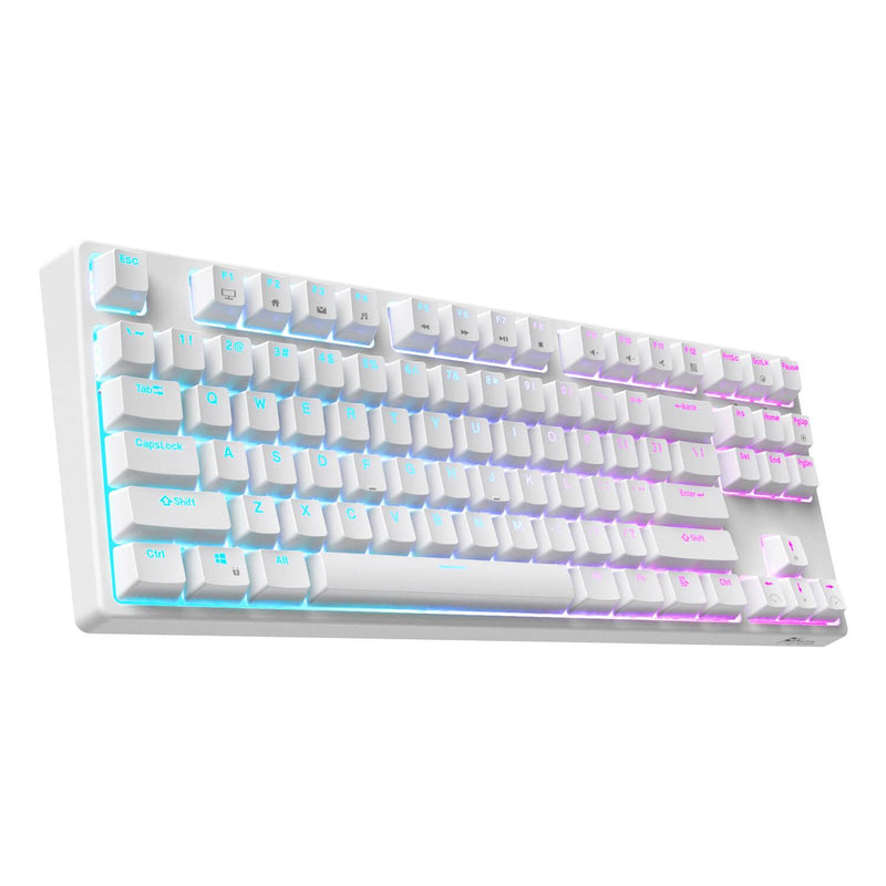 ROYAL KLUDGE RK87 TRI-MODE RGB 87 KEYS HOT SWAPPABLE MECHANICAL KEYBOARD WHITE (BROWN SWITCH) - DataBlitz