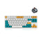 Leopold FC750RBT 87 Keys High-End Mechanical Bluetooth Keyboard (Milk Turquoise) (Brown Switch) (FC750RBTN/EMTPD(Y)) - DataBlitz
