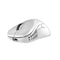 PULSAR Xlite V2 Mini Wireless Gaming Mouse (White) (PXW22S) - DataBlitz
