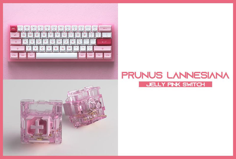 AKKO ACR61 COMBO RGB HOT-SWAPPABLE ACRYLIC MECHANICAL KEYBOARD PRUNUS LANNESIANA (JELLY PINK SWITCH) - DataBlitz