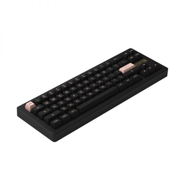 AKKO ACR PRO 68 RGB Hot-Swappable Mechanical Keyboard Gasket Mount (Black)  (AKKO Crystal)