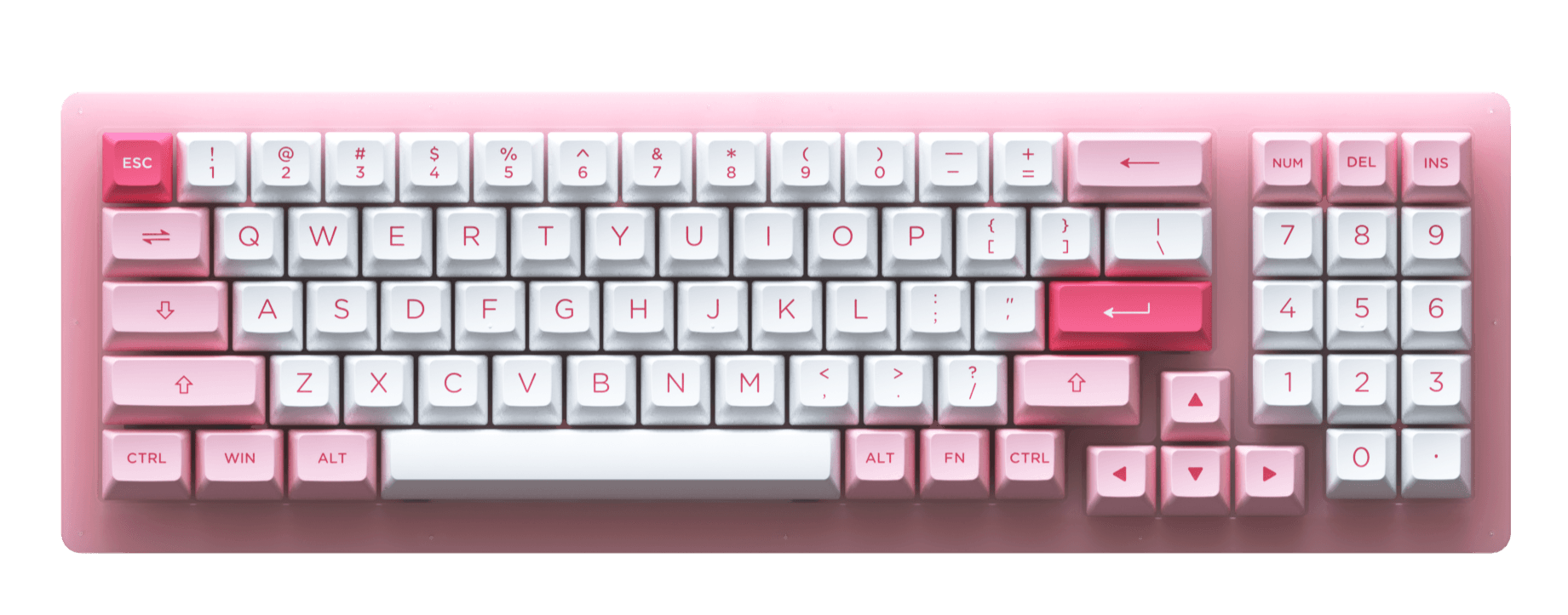 AKKO ACR98 MINI RGB HOT-SWAPPABLE ACRYLIC MECHANICAL KEYBOARD PRUNUS LANNESIANA (JELLY PINK SWITCH) - DataBlitz