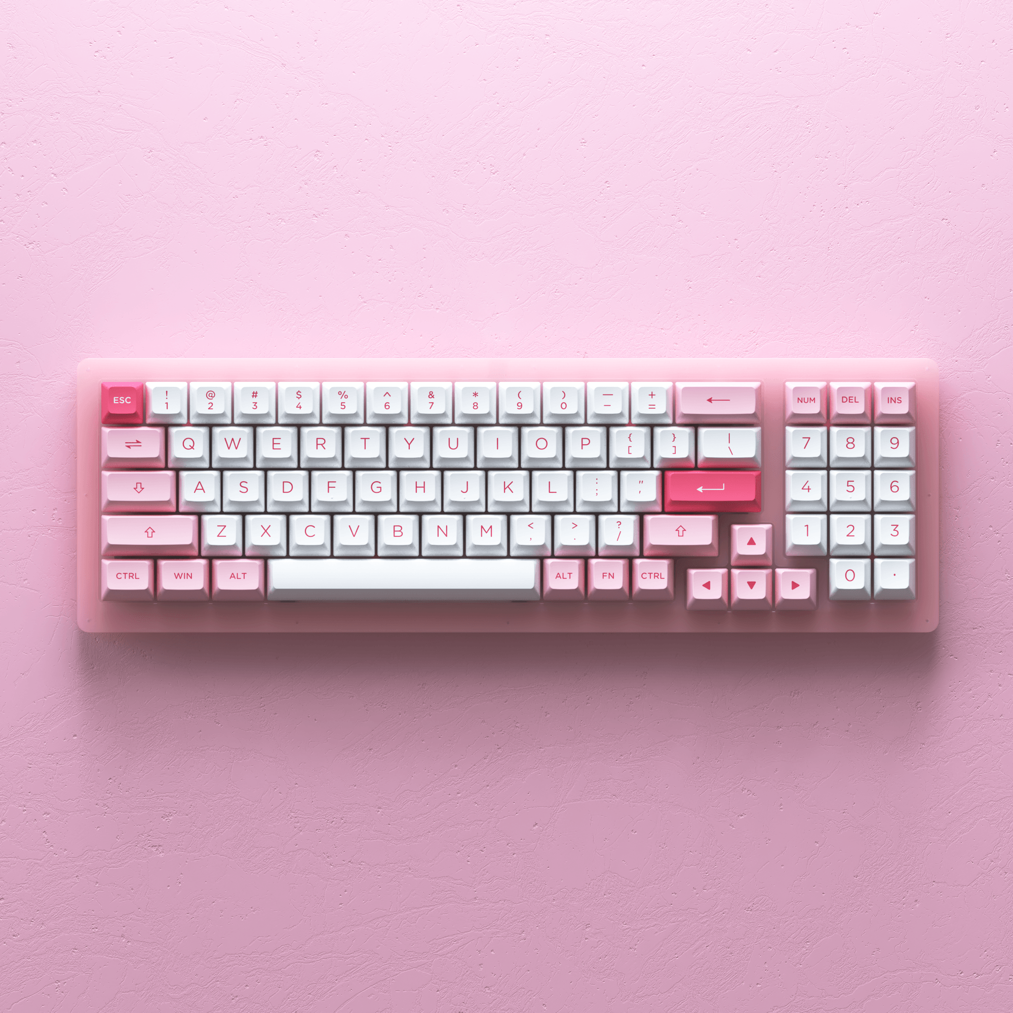 AKKO ACR98 MINI RGB HOT-SWAPPABLE ACRYLIC MECHANICAL KEYBOARD PRUNUS LANNESIANA (JELLY PINK SWITCH) - DataBlitz