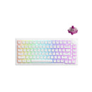 Akko 5075S Shine-Through RGB Hot-Swappable Mechanical Keyboard White (Akko Cs Wine Red) - DataBlitz