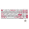 AKKO Prunus Lannesiana 3098B Multi-Modes RGB Mechanical Keyboard (AKKO CS Vintage White) - DataBlitz