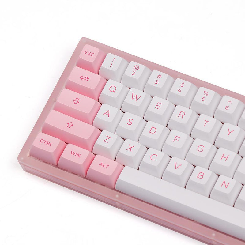 AKKO ACR61 COMBO RGB HOT-SWAPPABLE ACRYLIC MECHANICAL KEYBOARD PRUNUS LANNESIANA (JELLY PINK SWITCH) - DataBlitz