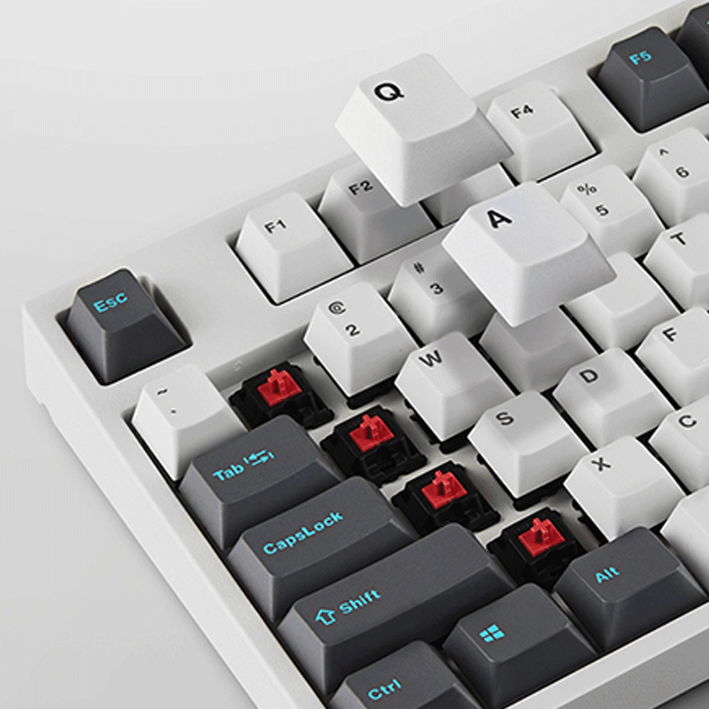 LEOPOLD 87-KEYS MECHANICAL KEYBOARD TWO-TONE WHITE/GRAY KEYCAP (SILVER SWITCH) (FC750RV/EWDPD) - DataBlitz