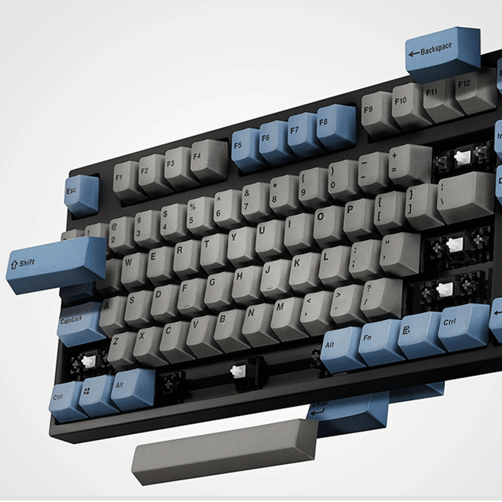 LEOPOLD 87-KEYS MECHANICAL KEYBOARD TWO-TONE GRAY/BLUE KEYCAP (SILVER SWITCH) (FC750RV/EGBPD) - DataBlitz