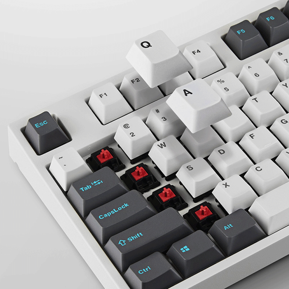 LEOPOLD 104-KEYS MECHANICAL KEYBOARD TWO-TONE WHITE/DARK GRAY KEYCAPS (CLEAR SWITCH) (FC900RW/EWDPD) - DataBlitz