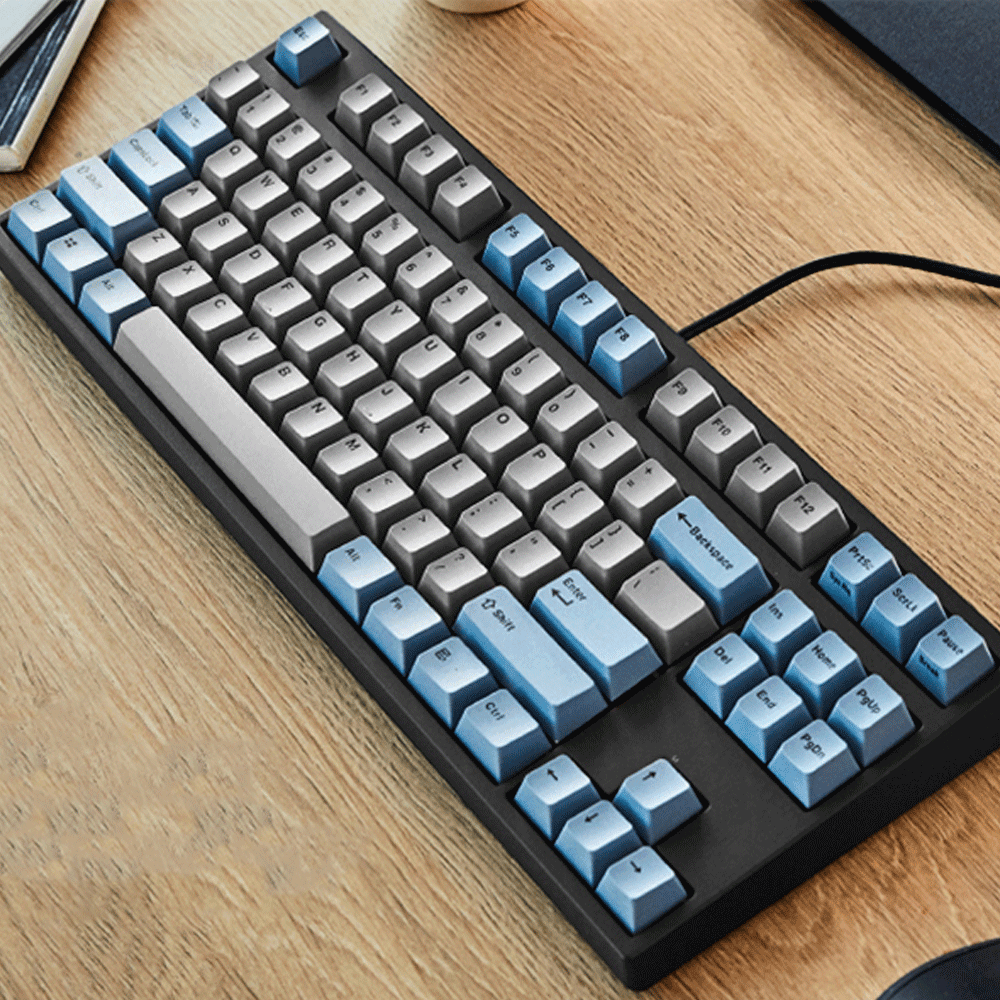 LEOPOLD 87-KEYS MECHANICAL KEYBOARD TWO-TONE GRAY/BLUE KEYCAP (SILVER SWITCH) (FC750RV/EGBPD) - DataBlitz