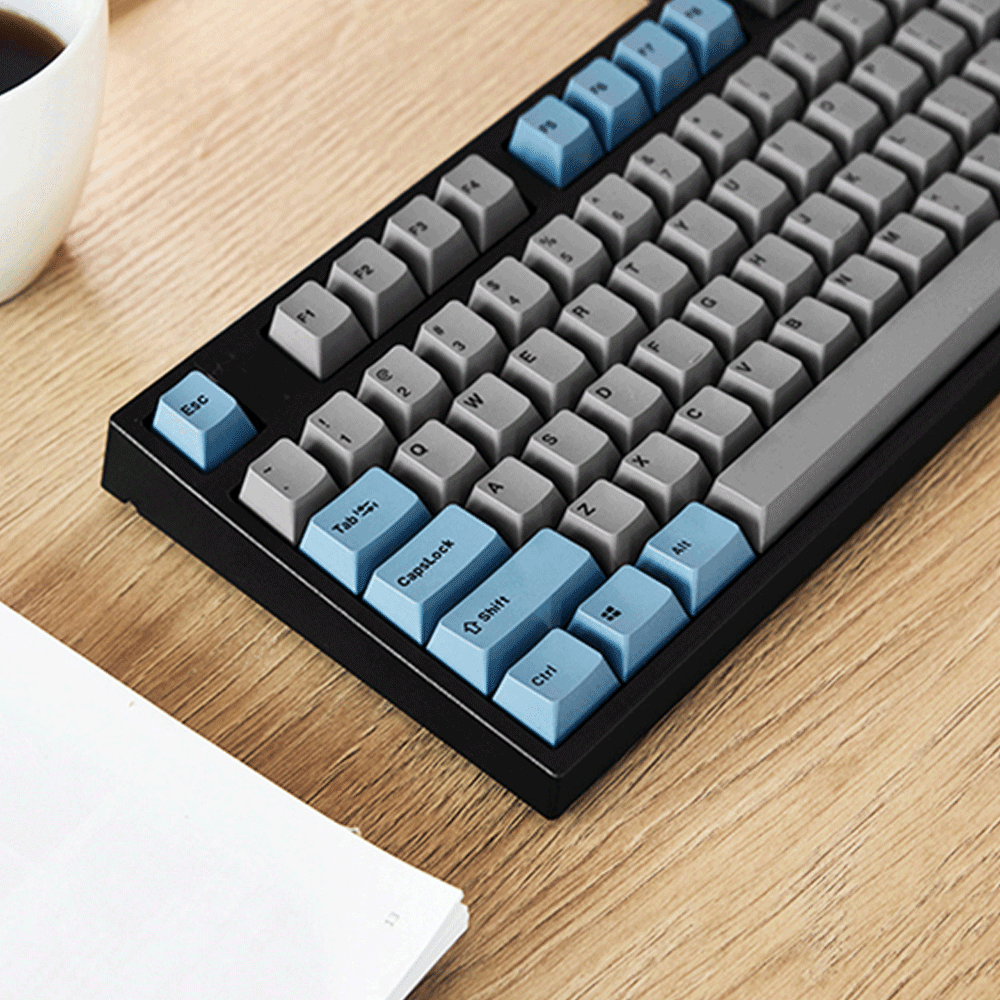 LEOPOLD 87-KEYS MECHANICAL KEYBOARD TWO-TONE GRAY/BLUE KEYCAP (SILVER SWITCH) (FC750RV/EGBPD) - DataBlitz