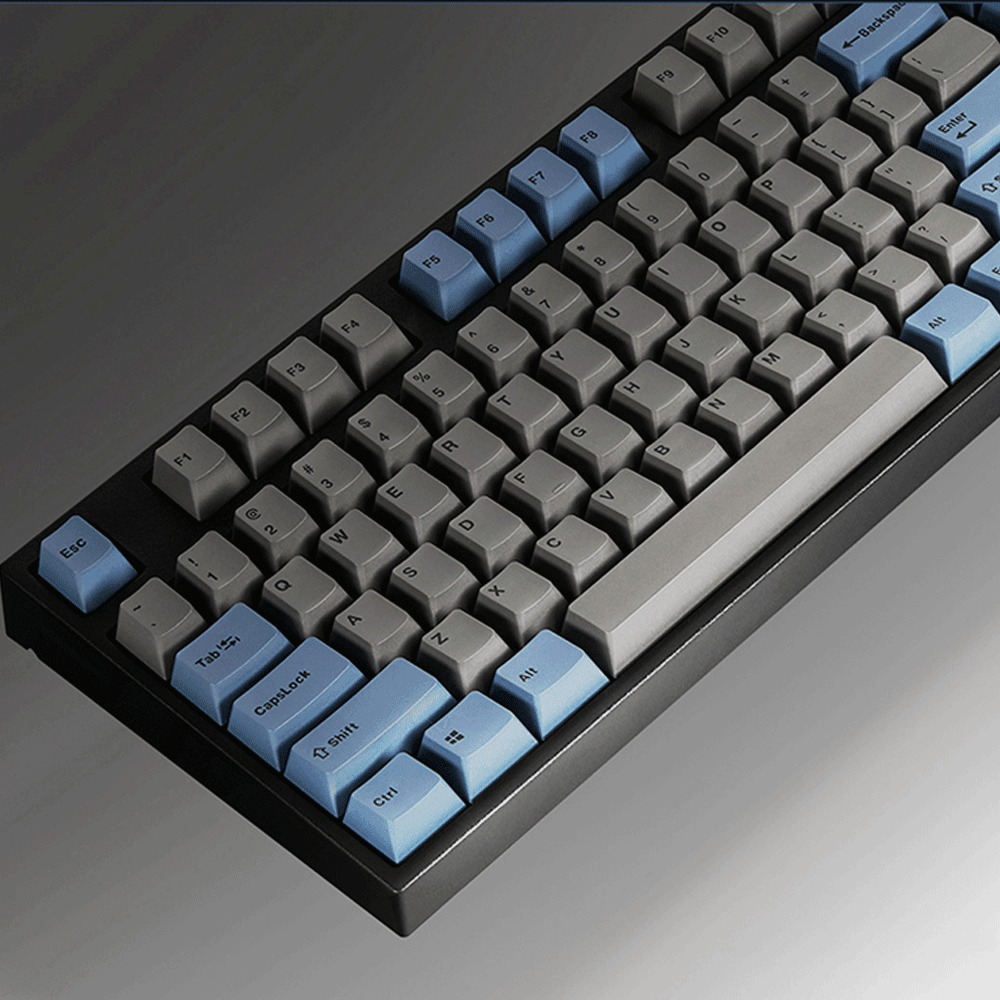 LEOPOLD 87-KEYS MECHANICAL KEYBOARD TWO-TONE GRAY/BLUE KEYCAP (SILVER SWITCH) (FC750RV/EGBPD) - DataBlitz