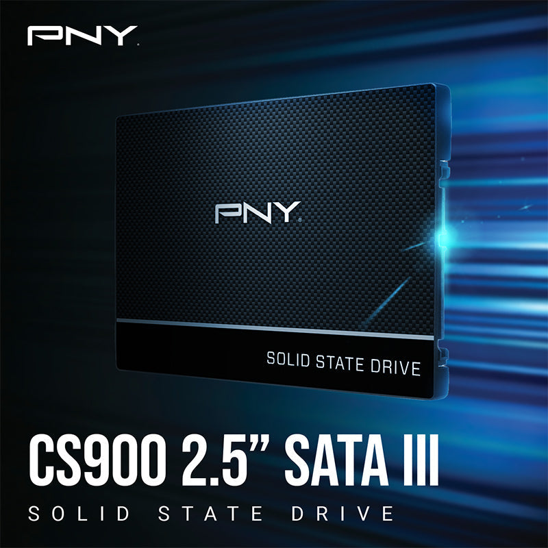 PNY CS900 500GB 2.5-INCH SATA III 6GB/S SSD (SSD7CS900-500-RB)