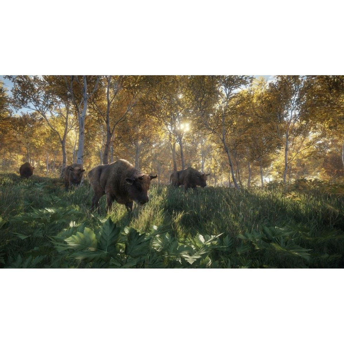 XBOX ONE THE HUNTER CALL OF THE WILD US (ENG/FR) - DataBlitz