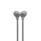 JBL Tune 125BT Wireless In-Ear Headphones (Grey) - DataBlitz
