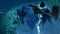 NSW Monster Hunter Rise Sunbreak Master Ed. (US) - DataBlitz