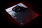 ACER NITRO MOUSE PAD NMP810 (M SIZE W/ NITRO SPIRITS) - DataBlitz
